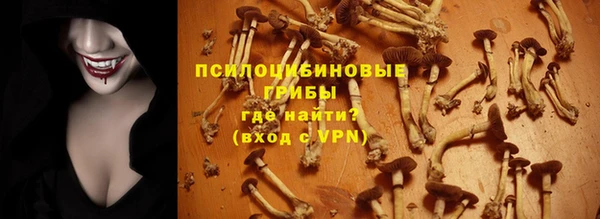 стаф Верхний Тагил