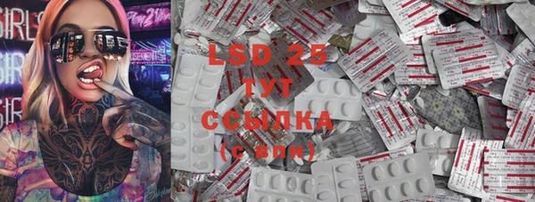 хмурый Сосновка